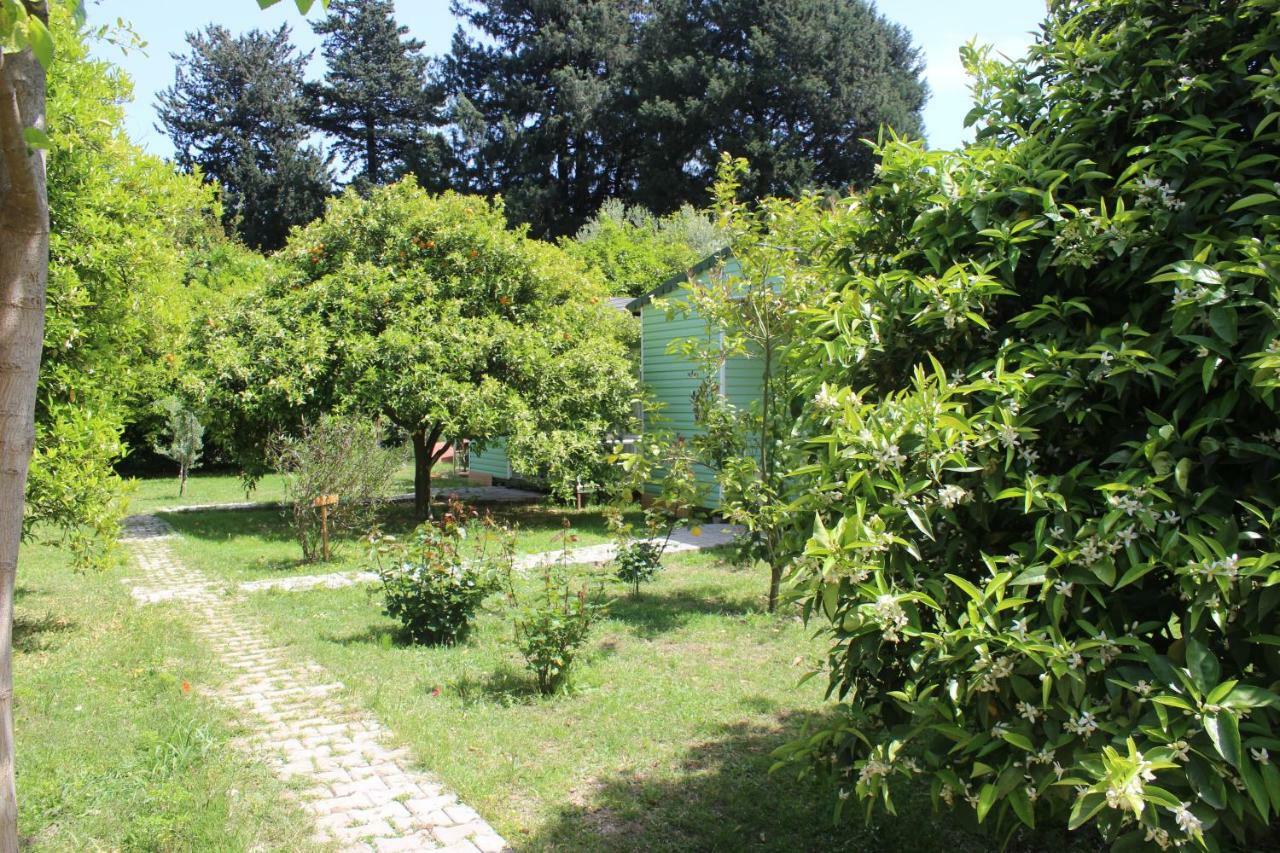 Sakli Bahce Pension Çıralı Eksteriør billede