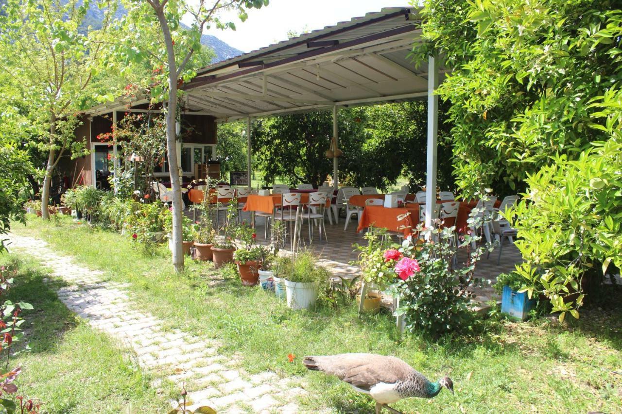 Sakli Bahce Pension Çıralı Eksteriør billede