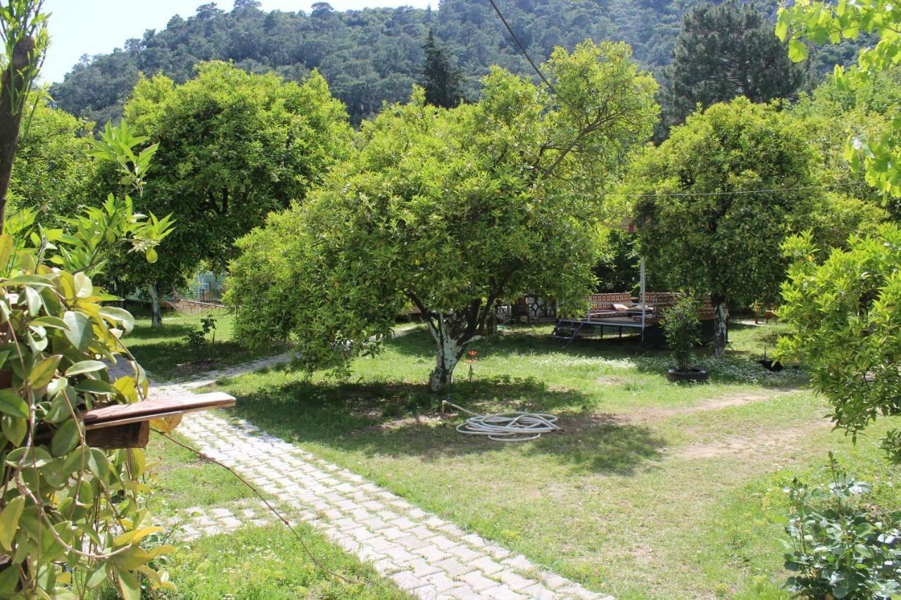 Sakli Bahce Pension Çıralı Eksteriør billede